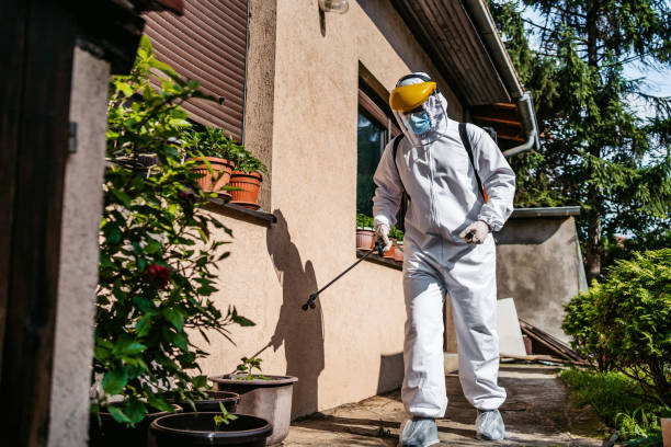 Best Ant Control Services  in Baltic, CT