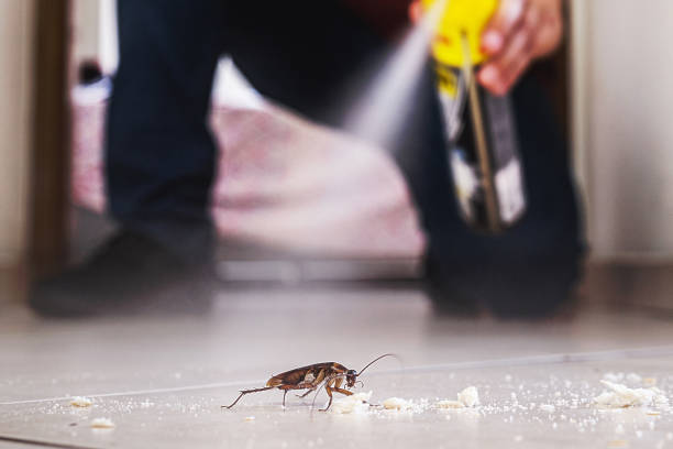 Best Exterminator Services  in Baltic, CT