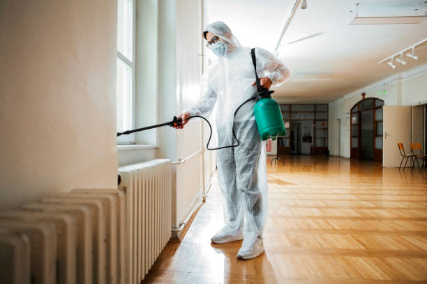 Professional Pest Control in Baltic, CT